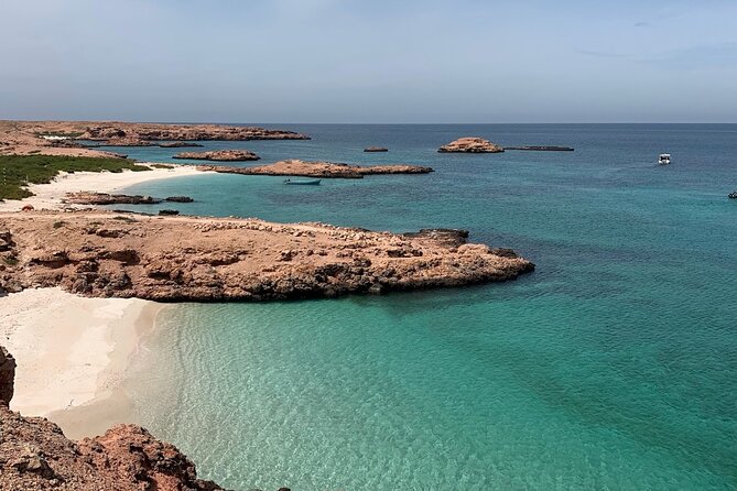 Daymaniyat Islands Snorkeling Sharing Trip - Price and Value: What You Get for $106
