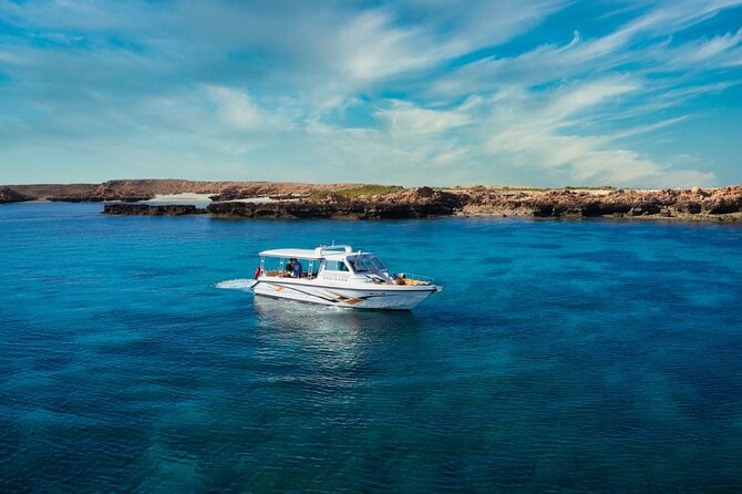 Daymaniyat Islands Snorkeling Sharing Trip - When Beach Time Changes the Whole Mood