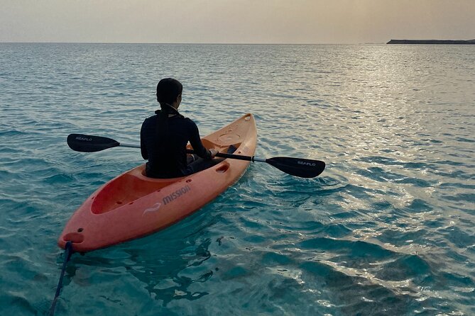 Daymaniyat Islands Snorkeling Sharing Trip - How the Crew Finds Turtles (and Why Following Them Matters)