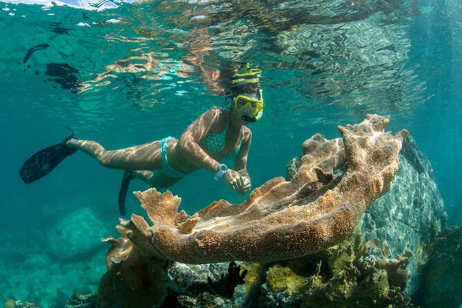 Deluxe Half-Day Snorkel Sail on Lady Grace Luxury Catamaran - Food, picnic lunch, and open bar: where the price starts to make sense