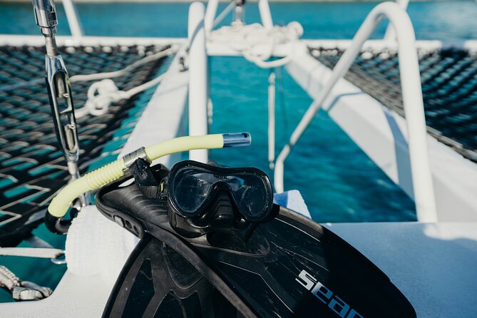 Deluxe Half-Day Snorkel Sail on Lady Grace Luxury Catamaran - Reef snorkeling on the Turks & Caicos Barrier Reef: what you’re really booking