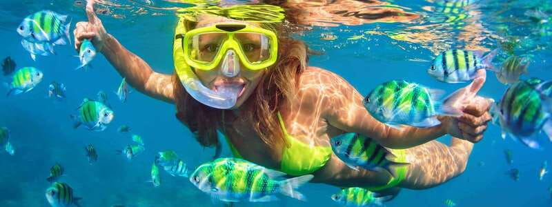 Destin: Snorkeling Cruise with 2 Stops and Dolphin Watching - Key highlights you’ll remember from day one