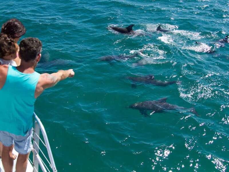 Destin: Snorkeling Cruise with 2 Stops and Dolphin Watching - Snorkeling Stop 1: gear, a quick lesson, then colorful Gulf life