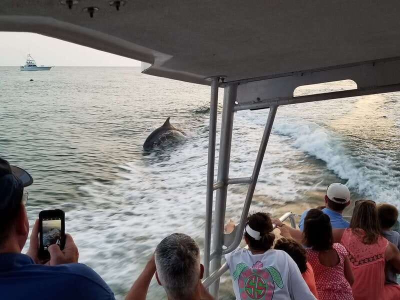 Destin: Snorkeling Cruise with 2 Stops and Dolphin Watching - Where you meet in Destin Harbor (and what to do when you arrive)