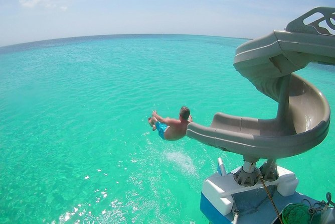Dolphin Catamaran Snorkel and Sail with Open Bar - Key Highlights You’ll Feel on This Cruise