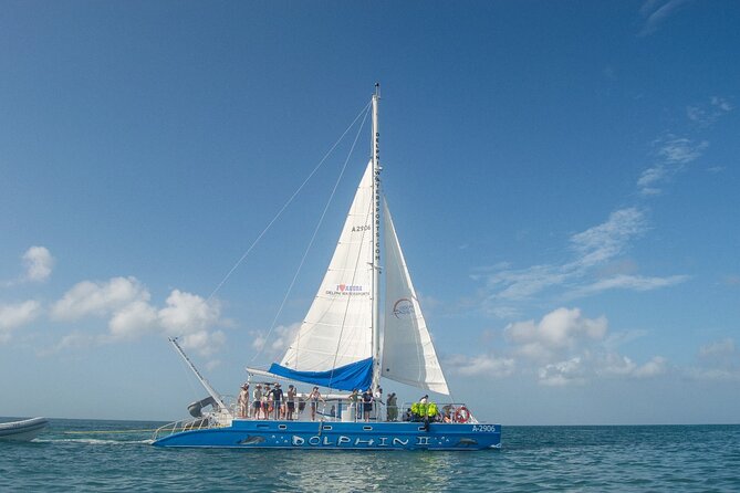 Dolphin Catamaran Snorkel and Sail with Open Bar - How The Dolphin Runs From Delphi Watersports in Noord