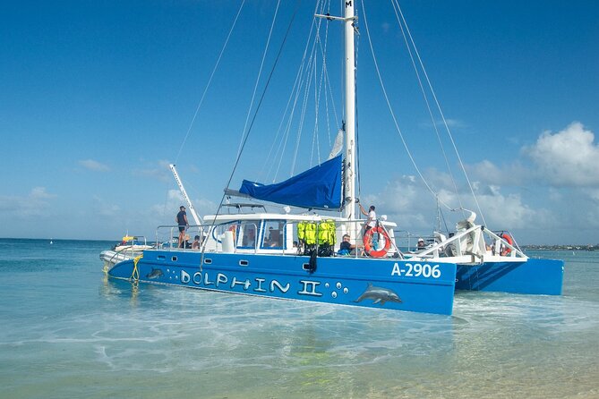 Dolphin Catamaran Snorkel and Sail with Open Bar - The Slide and Rope Swing: The Part That Turns Into a Group Activity