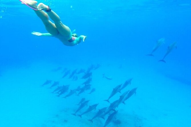 Dolphin House Snorkeling,Water Sports, Lunch & Transfer- Hurghada - How the day runs: an 8-hour boat day that stays structured