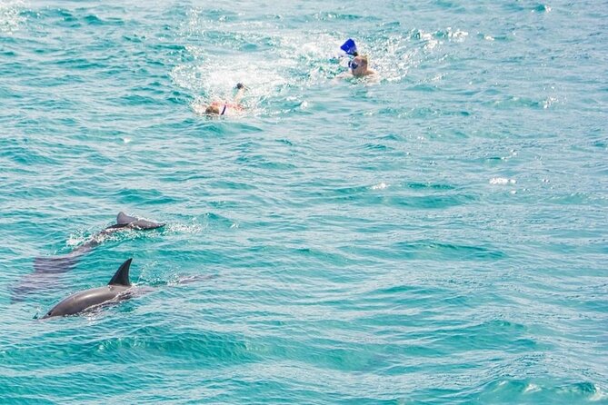 Dolphin House Snorkeling,Water Sports, Lunch & Transfer- Hurghada - Price and value: the real math behind $5.82