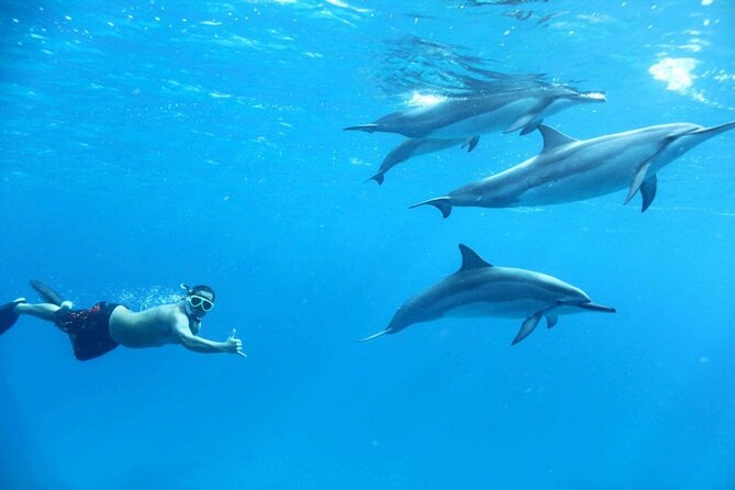 Dolphin House Snorkeling,Water Sports, Lunch & Transfer- Hurghada - Pickup, drop-off, and the small details that reduce stress