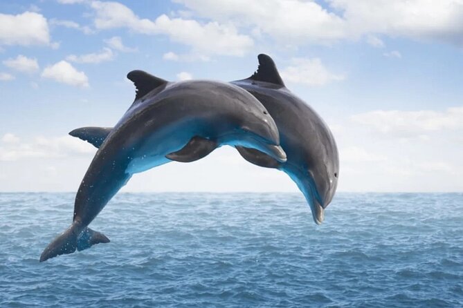 Dolphin House Snorkeling,Water Sports, Lunch & Transfer- Hurghada - Dolphin House snorkeling: what guided stops actually do for you