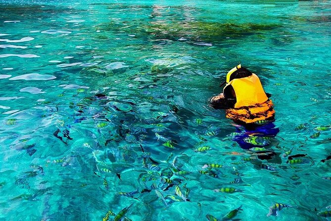 Dolphin, Sea Cave & Captain Cook Snorkel Combo in Kealakekua Bay - Sea cave snorkeling: the cool factor, plus the weather reality