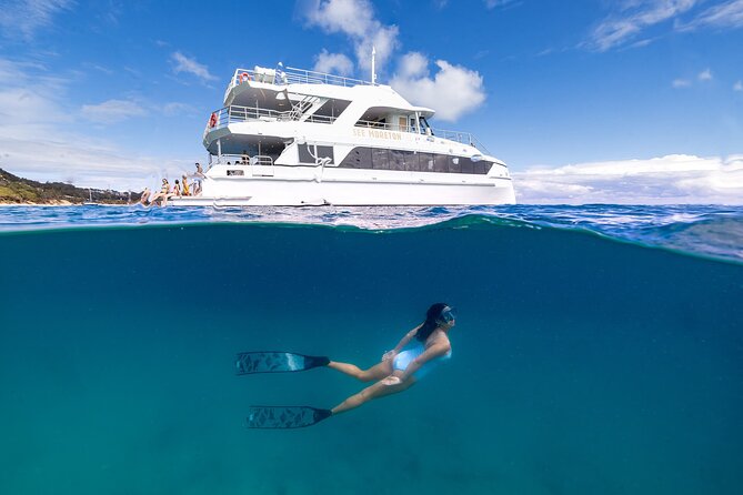 Dolphin & Tangalooma Wrecks Snorkel Cruise & Lunch - Brisbane - Key things I’d circle before you go