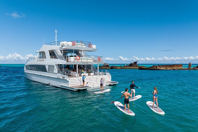 Dolphin & Tangalooma Wrecks Snorkel Cruise & Lunch - Brisbane - Why this Moreton Island day feels worth the drive