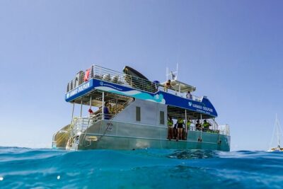 Dolphin Watch Cruise with Waterslide & Snorkeling on Oahu - Key things I’d plan around