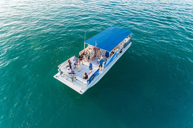 Dolphin Watching and Snorkeling Adventure in Key West - Water Conditions: The Main Reason This Isn’t a Perfect 5 Every Time