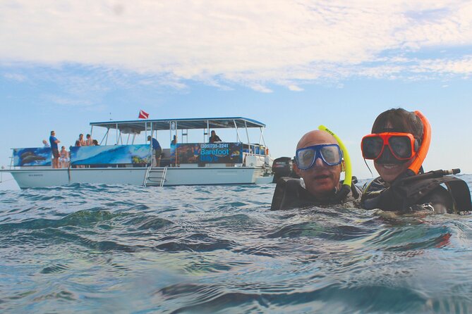 Dolphin Watching and Snorkeling Adventure in Key West - Comfort Details That Matter: Shade, Training, Towels, and Snorkel Support