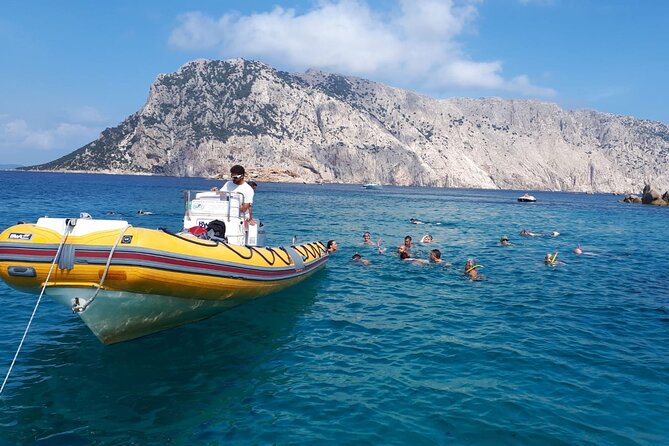 Dolphin Watching and Snorkeling in Figarolo in Sardinia - Dinghy stops at Cala Greca and Cala Moresca: your swim/snorkel time, paced