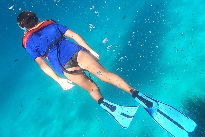 Dolphin Watching and Snorkeling in Figarolo in Sardinia - Who should book this dolphin and snorkeling tour