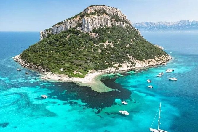 Dolphin Watching Tour with Snorkeling from Olbia - Boat and crew: small group comfort makes a difference
