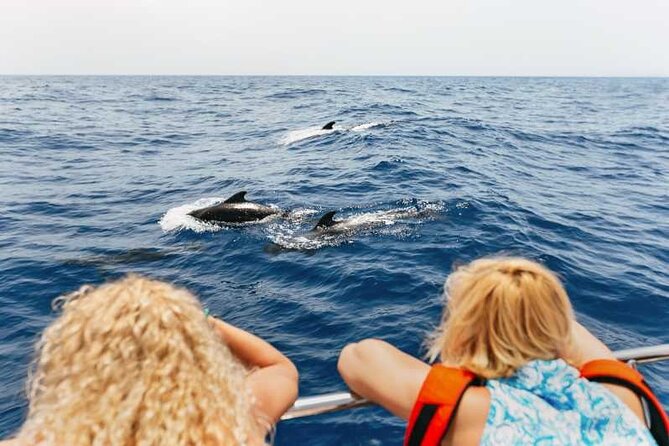 Dolphin Watching Tour with Snorkeling from Olbia - Price and value: is $72.59 per person fair for Olbia?