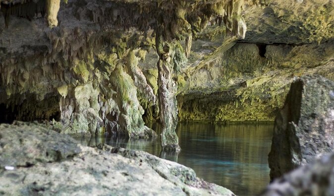 Dos Ojos Cenote VIP Private Tour – Snorkeling & Mayan Lunch - Quick reasons this VIP Dos Ojos tour feels worth it