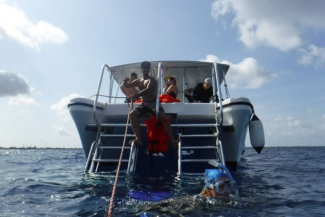 Double Dip Snorkel Trip - Where the Trip Starts: SeaCow at Harbour Village Marina