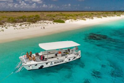 Double Dip Snorkel Trip - Drift Snorkeling Done Right: Two Reef Stops Without the Hassle
