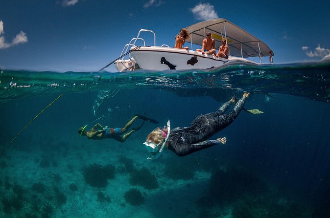 Double Dip Snorkel Trip - Food, Soft Drinks, and Rum Punch: A Simple, Fun Landing