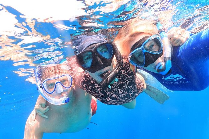 Double Dip Snorkel Trip - The Stinapa Nature Fee: Don’t Get Surprised at the Marina