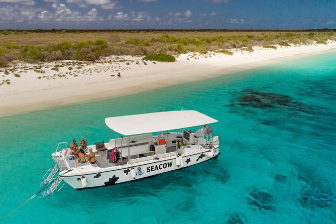 Double Dip Snorkel Trip - Drift Snorkeling Done Right: Two Reef Stops Without the Hassle