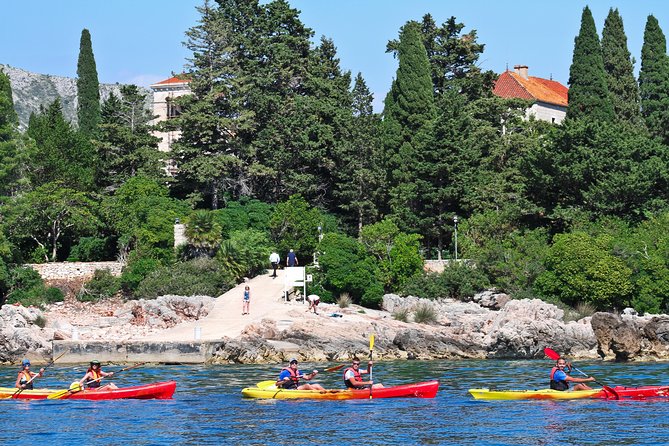 Dubrovnik: Sea Kayaking & Snorkeling Tour - Price and Value: Why This $36-ish Tour Can Feel Like a Deal