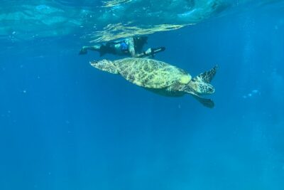 E-Scooter Snorkel With Photo and Video At Turtle Town - Where you start: Makena Landing Park at 7:30 am