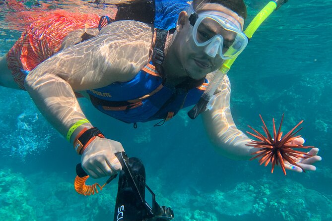 E-Scooter Snorkel With Photo and Video At Turtle Town - Photos and video: the HD package is worth asking about