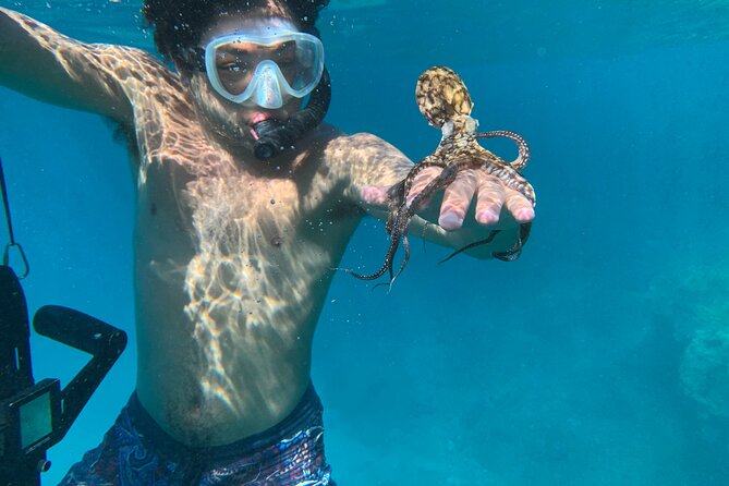 E-Scooter Snorkel With Photo and Video At Turtle Town - Who this is best for (and who should reconsider)