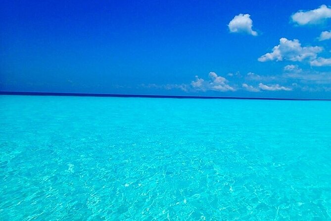 El Cielo Cozumel Snorkeling Tour - All-Inclusive - El Paso del Cedral Reef and Tunich Reef: variety without leaving you bored