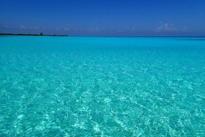 El Cielo Cozumel Snorkeling Tour - All-Inclusive - Palancar Reef: where the day usually starts with big reef energy