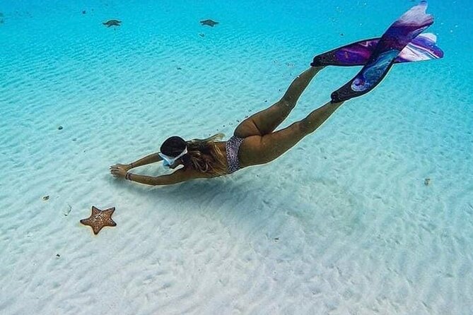 El Cielo Cozumel Snorkeling Tour - All-Inclusive - El Cielo food, drinks, and that shallow-water reset