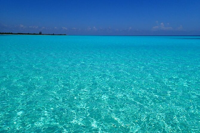 El Cielo Cozumel Snorkeling Tour - All-Inclusive - Palancar Reef: where the day usually starts with big reef energy