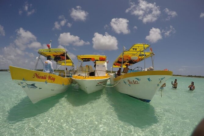 El Cielo Cozumel Snorkeling tour by Private Boat - Price and value: what $789 per group actually buys you
