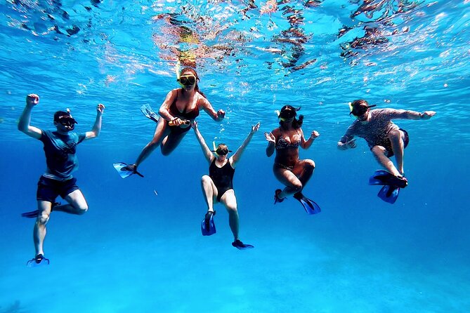 El Cielo Cozumel Snorkeling tour by Private Boat - Stop-by-stop: Playa El Cielo and the reefs that keep the day moving