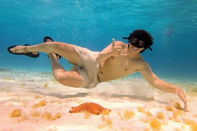 El Cielo Cozumel Snorkeling tour by Private Boat - Wildlife chances: turtles, stingrays, nurse sharks, and more