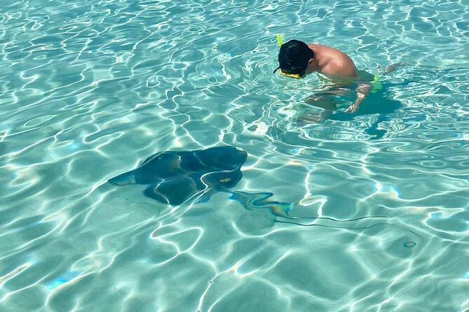 El Cielo Cozumel Snorkeling tour by Private Boat - Food and drinks in the water: why the ceviche break works