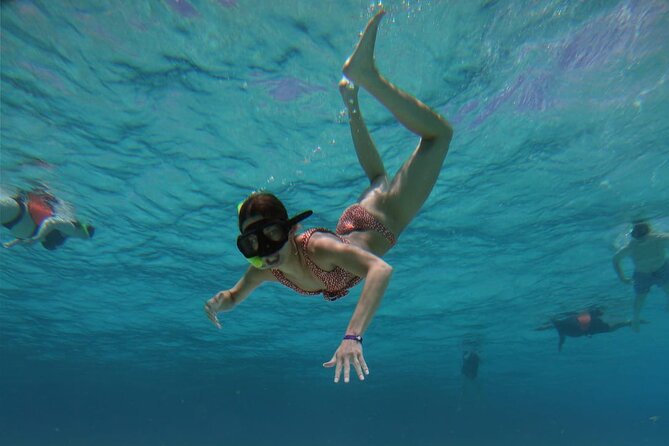 El Cielo Cozumel Snorkeling trip by Catamaran - Playa El Cielo and El Cielito: The Stop Where Wildlife Gets Personal