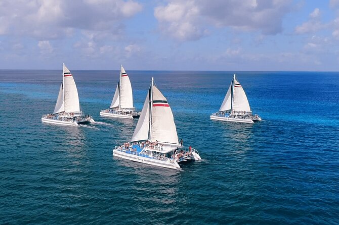 El Cielo, Palancar Snorkel & Beach Party Experience - Who should book this (and who should skip it)