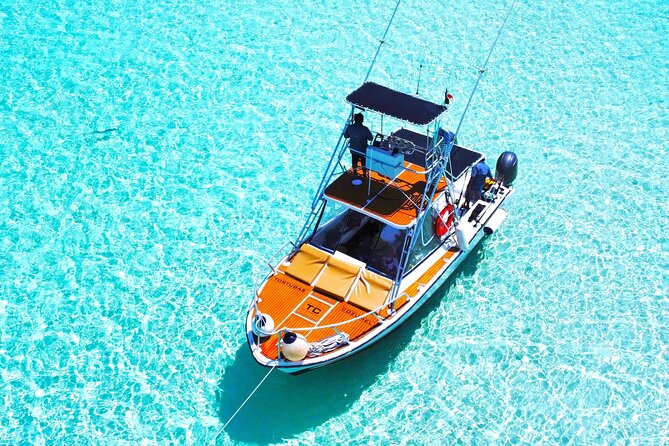 El Cielo Snorkel by Private Boat - Stop 2: Paradise (Paraiso) Reef for more sea life variety