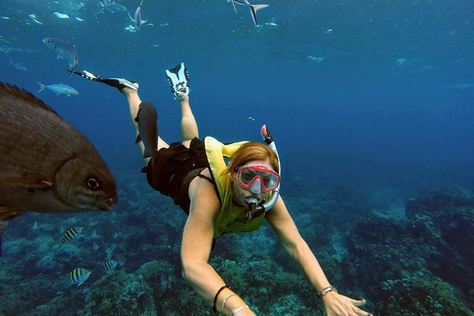 El Cielo Snorkel by Private Boat - When winds hit: what happens if El Cielo can’t be done