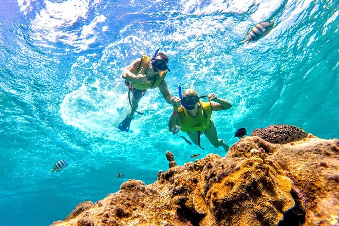 El Cielo Snorkel by Private Boat - Reef-safe sunscreen rules and what to wear for comfort