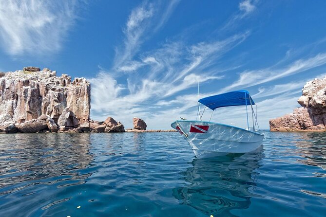 Espiritu Santo Island Snorkel & Sea Lion Adventure - Key Highlights You’ll Actually Care About