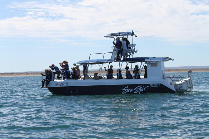 Espiritu Santo Island Snorkel & Sea Lion Adventure - Isla Los Islotes Snorkeling: Sea Lions, Fish, and Cold-Water Reality